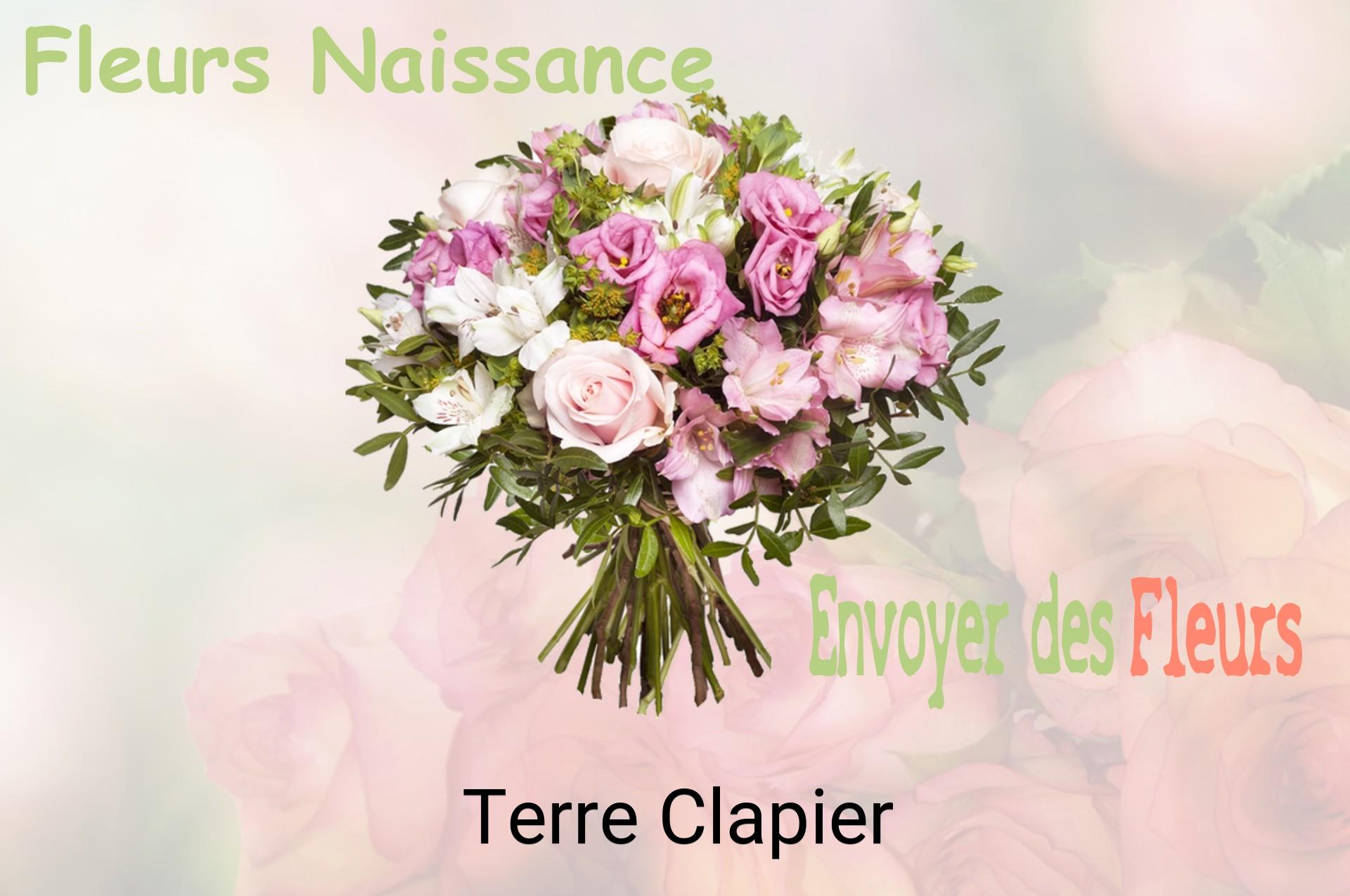 Bouquet de fleurs de naissance livré à Terre-Clapier